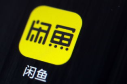 闲鱼上最新爆料,揭秘热门商品背后的惊人内幕！